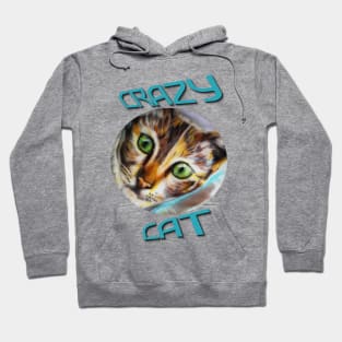 Crazy Cat Calico Cat Hoodie